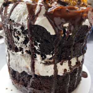 Chocolate Mess Cake